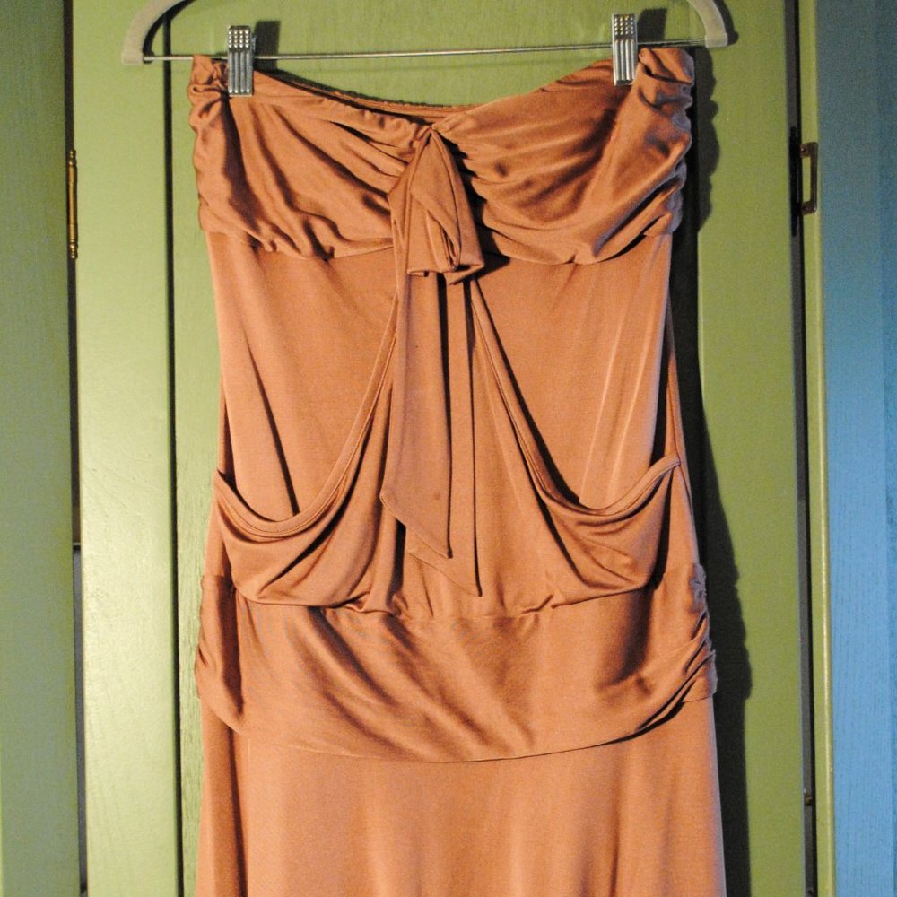 LaRok Strapless Dress